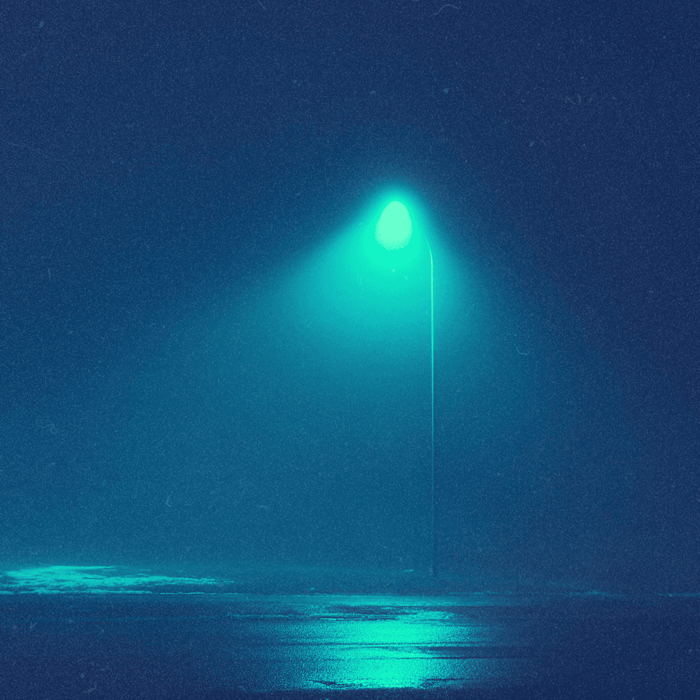 where did we go wrong