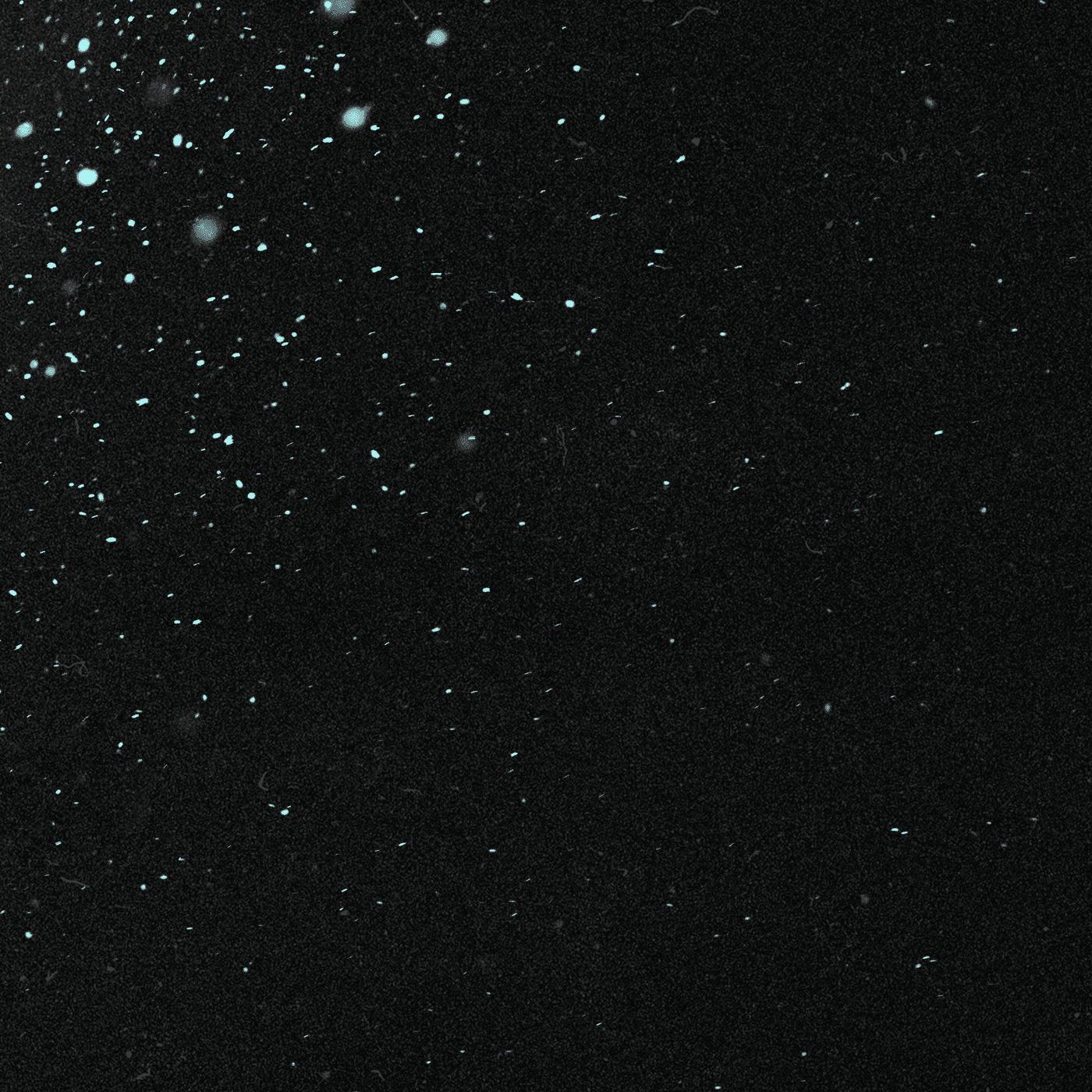 we're losing the light