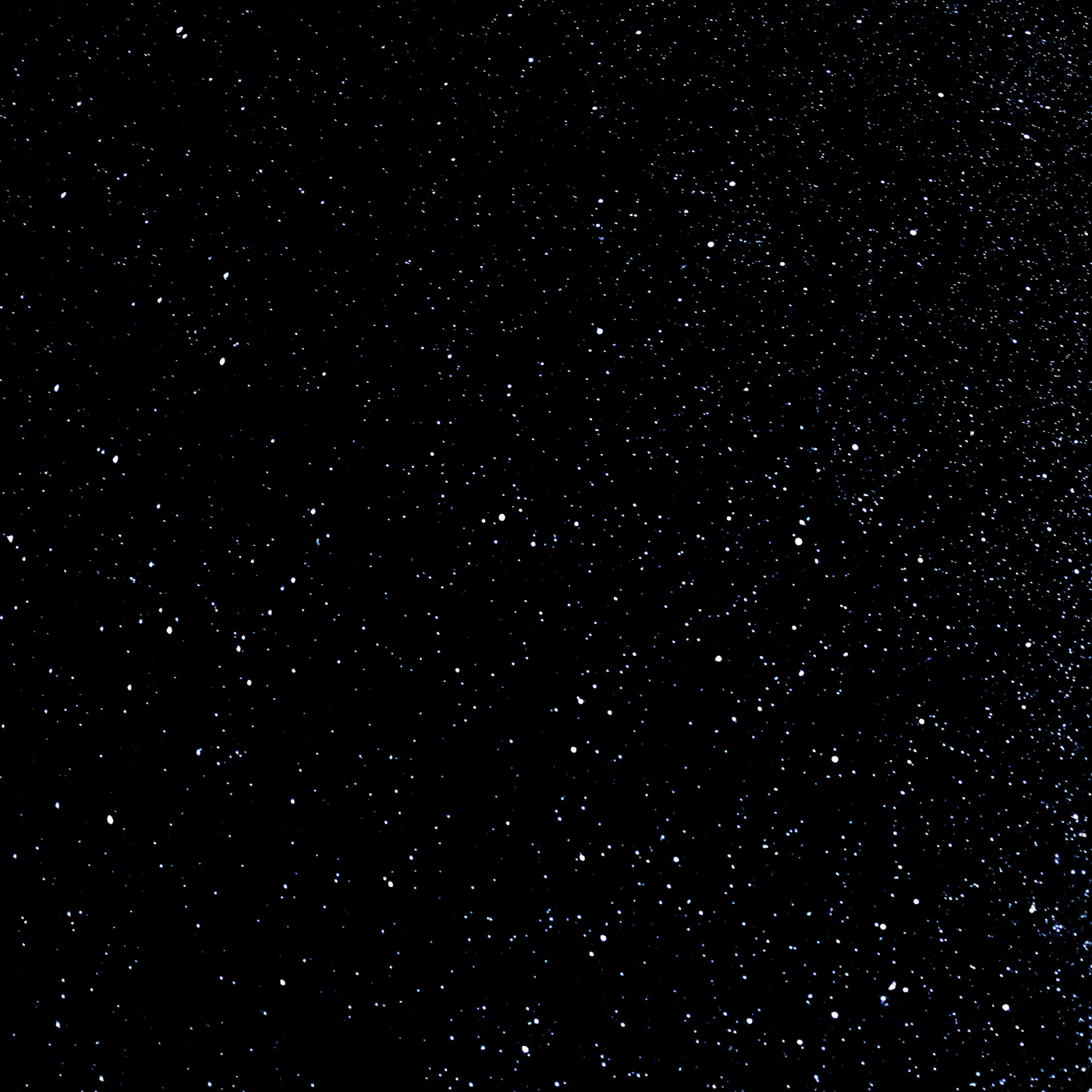 we've lost all meaning