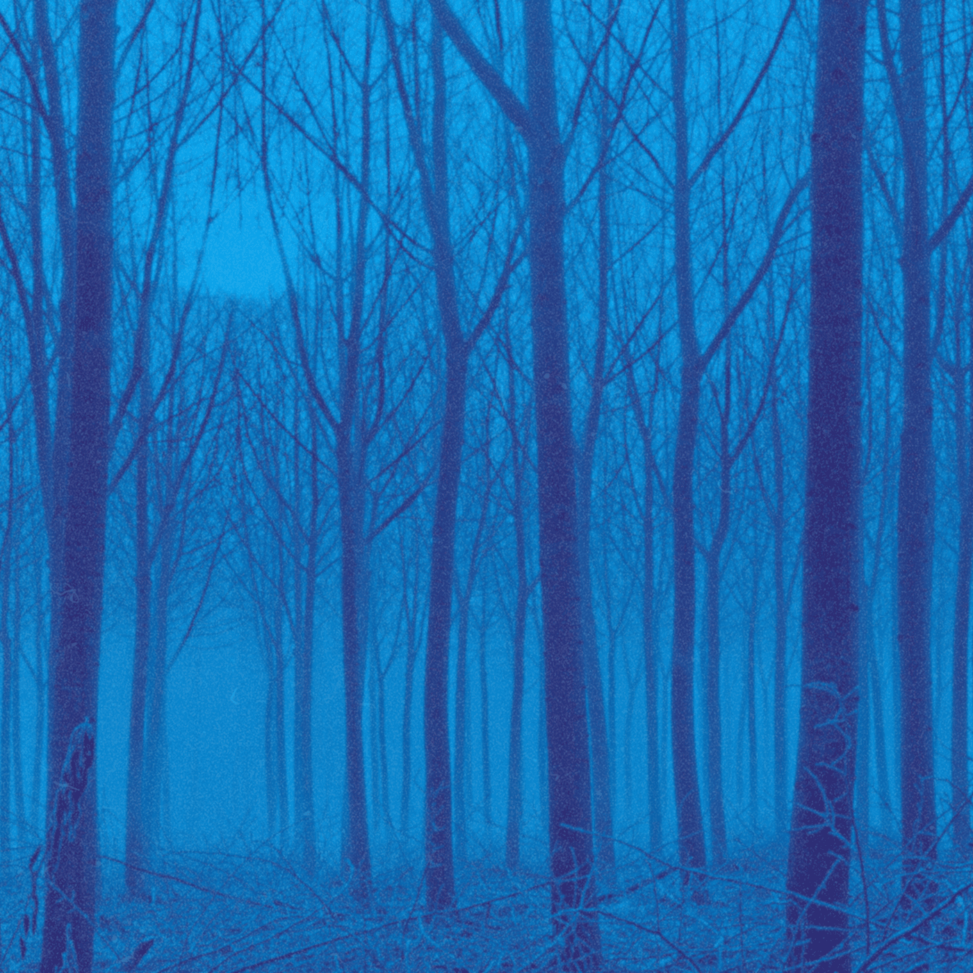 if you're still here