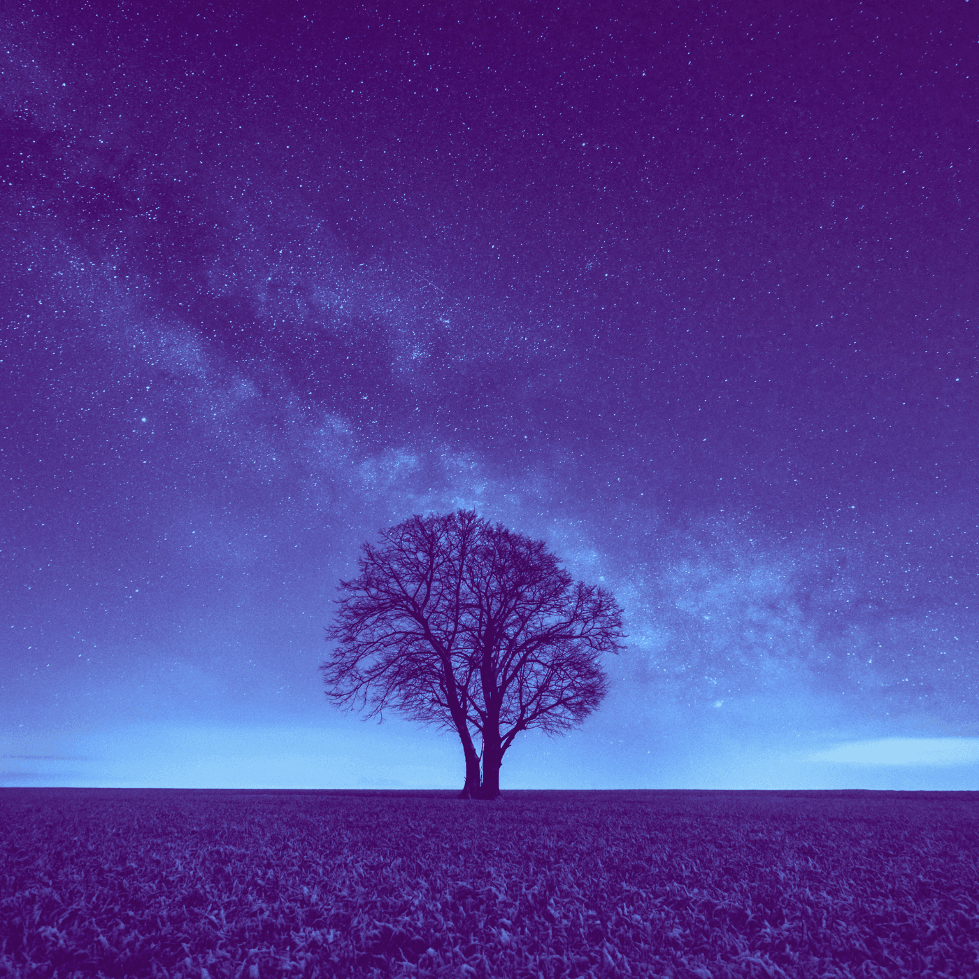 we are made of stardust